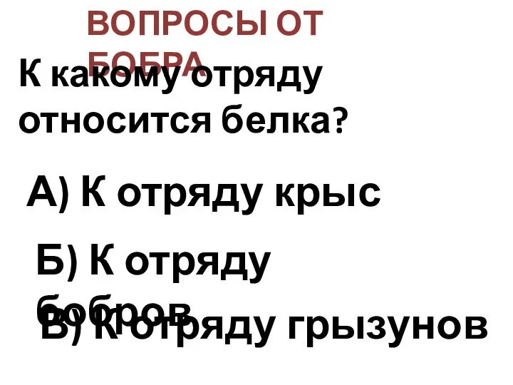 ВОПРОСЫ ОТ БОБРА К какому отряду относится белка? А) К отряду