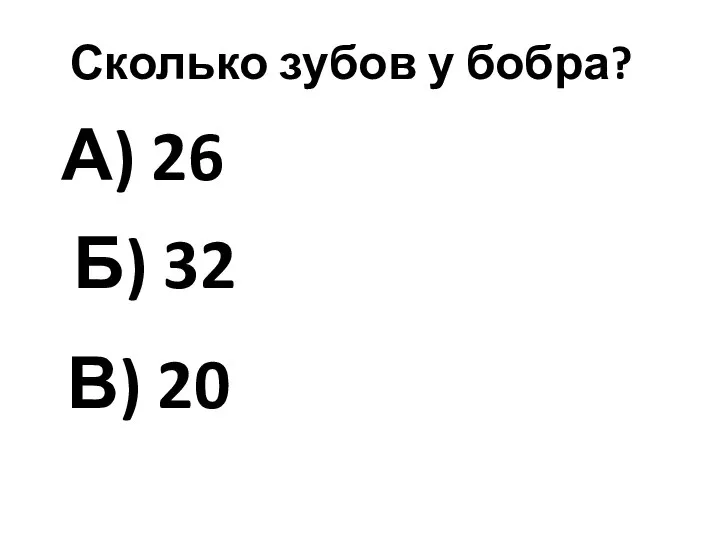 Сколько зубов у бобра? А) 26 Б) 32 В) 20