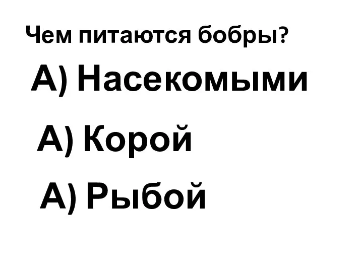 Чем питаются бобры? А) Насекомыми А) Рыбой А) Корой