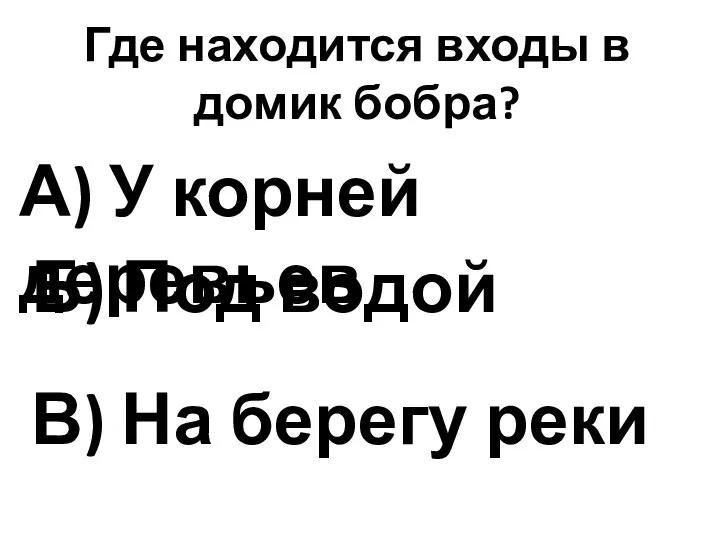 Где находится входы в домик бобра? А) У корней деревьев В)