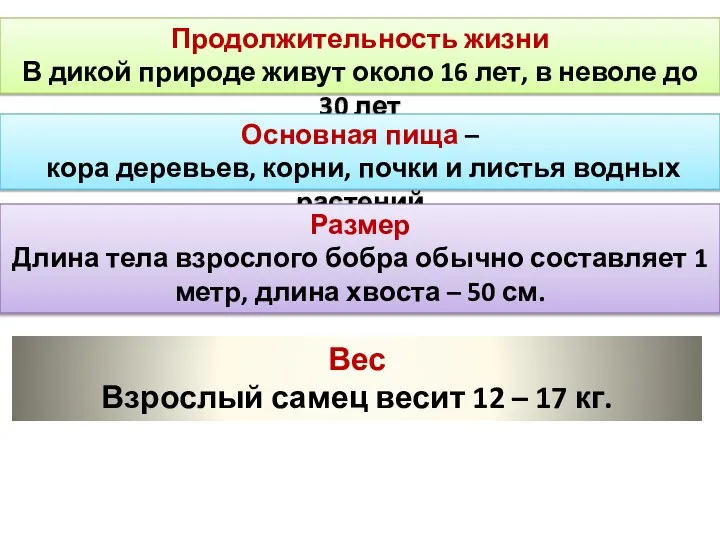 Продолжительность жизни В дикой природе живут около 16 лет, в неволе