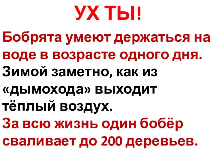 УХ ТЫ! Бобрята умеют держаться на воде в возрасте одного дня.