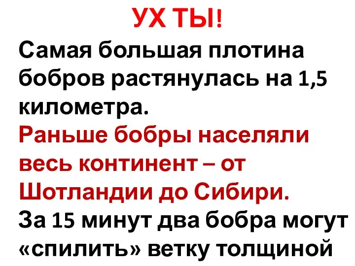 УХ ТЫ! Самая большая плотина бобров растянулась на 1,5 километра. Раньше