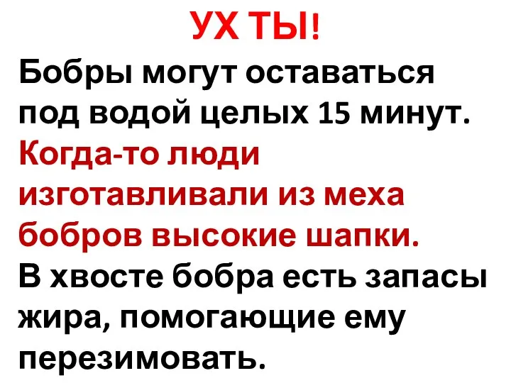 УХ ТЫ! Бобры могут оставаться под водой целых 15 минут. Когда-то