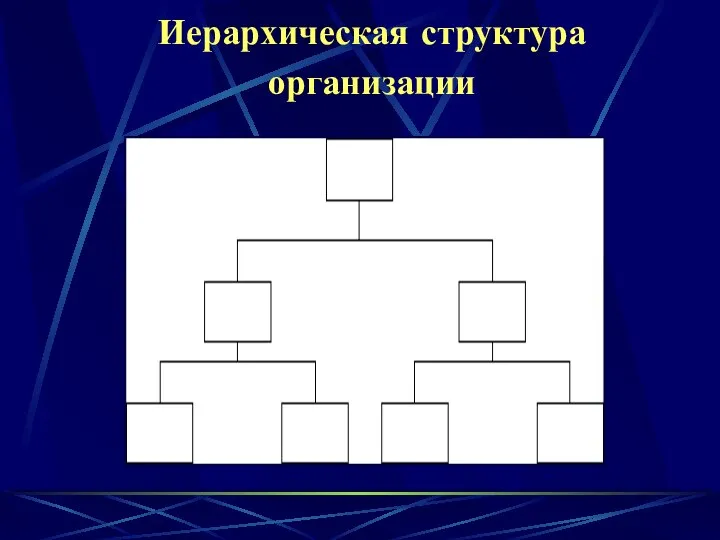 Иерархическая структура организации