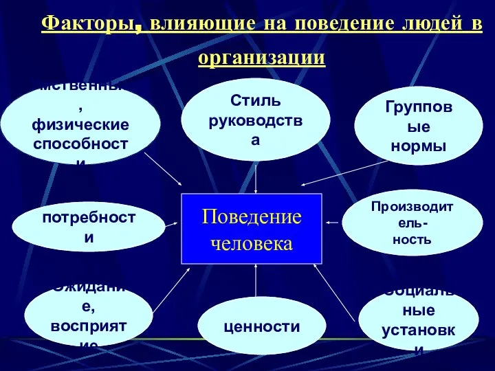 Факторы, влияющие на поведение людей в организации Умственные, физические способности Стиль