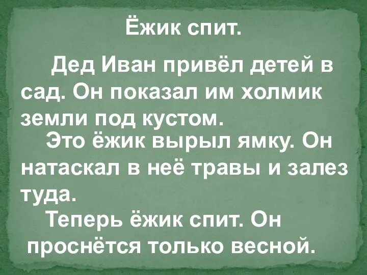 Ёжик спит. Дед Иван привёл детей в сад. Он показал им