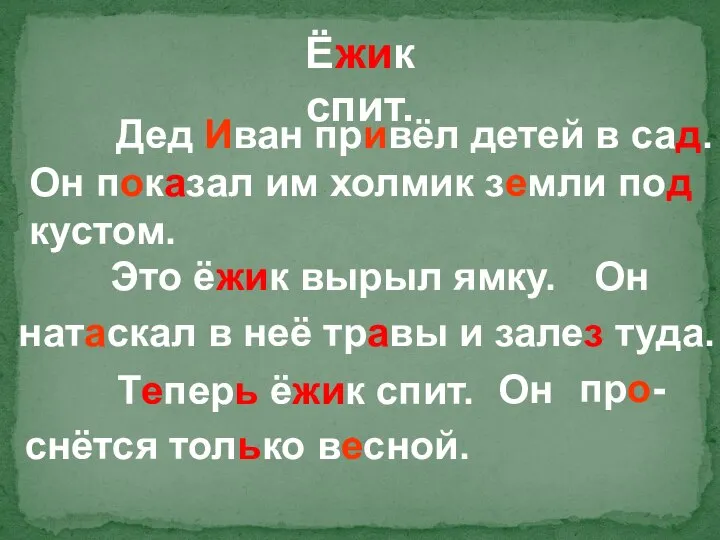 Ёжик спит. Дед Иван привёл детей в сад. Он показал им