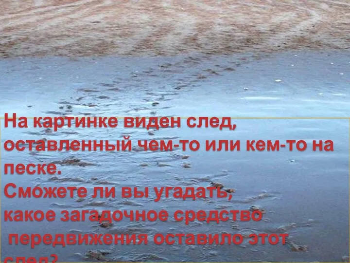 На картинке виден след, оставленный чем-то или кем-то на песке. Сможете