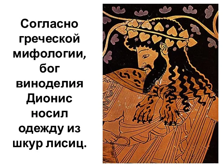 Согласно греческой мифологии, бог виноделия Дионис носил одежду из шкур лисиц.