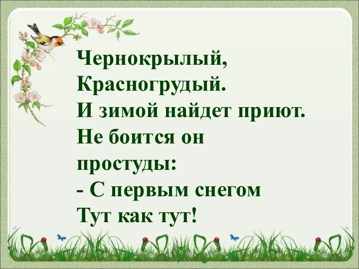 Чернокрылый, Красногрудый. И зимой найдет приют. Не боится он простуды: -