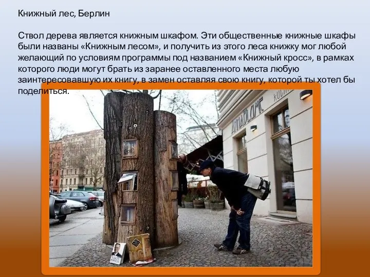 Книжный лес, Берлин Ствол дерева является книжным шкафом. Эти общественные книжные