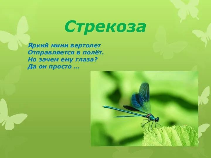 Стрекоза Яркий мини вертолет Отправляется в полёт. Но зачем ему глаза? Да он просто …