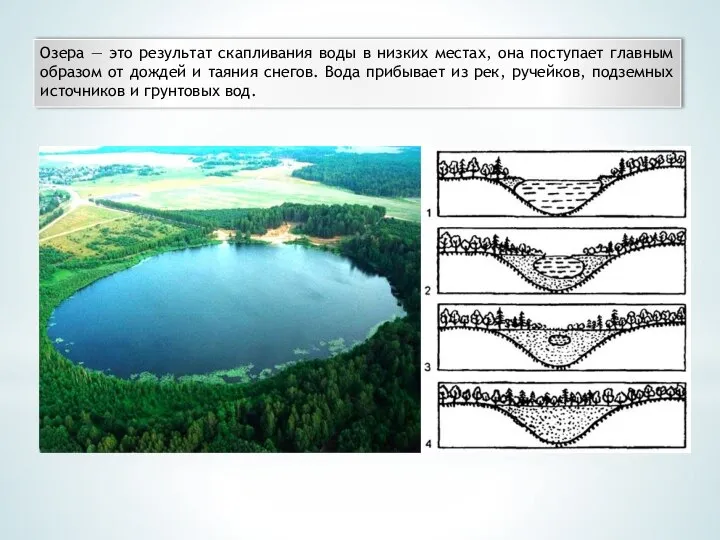 Озера — это результат скапливания воды в низких местах, она поступает