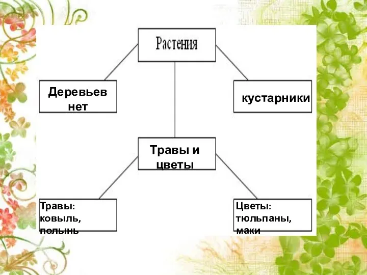 Деревьев нет Травы и цветы кустарники Травы: ковыль, полынь Цветы: тюльпаны, маки