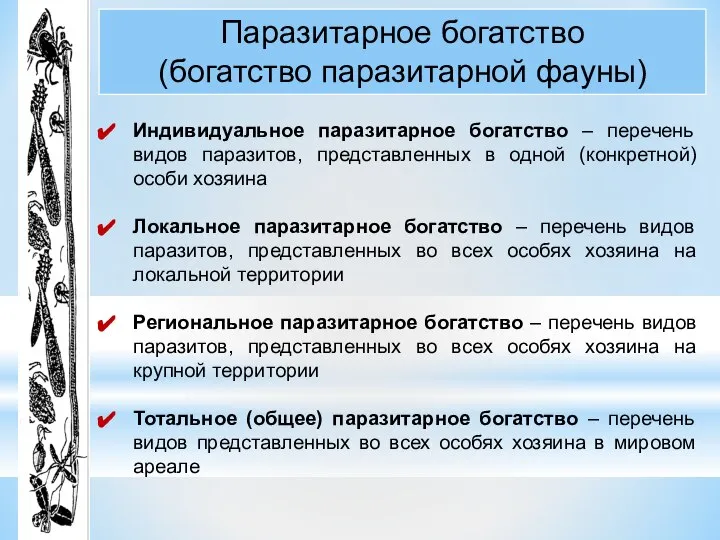 Паразитарное богатство (богатство паразитарной фауны) Индивидуальное паразитарное богатство – перечень видов