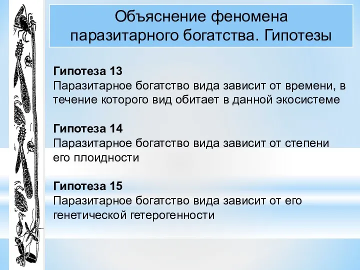 Объяснение феномена паразитарного богатства. Гипотезы Гипотеза 13 Паразитарное богатство вида зависит