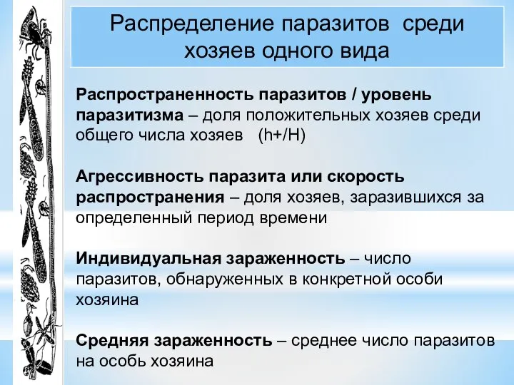 Распределение паразитов среди хозяев одного вида Распространенность паразитов / уровень паразитизма