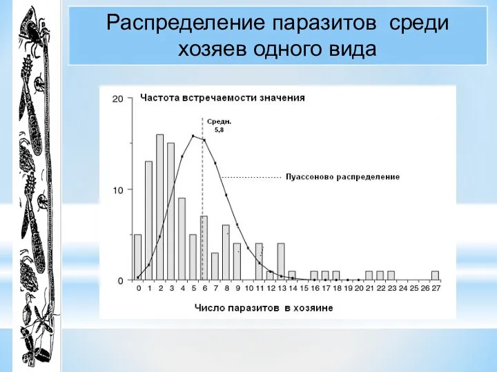 Распределение паразитов среди хозяев одного вида