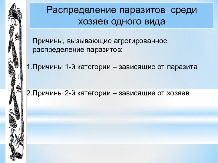 Распределение паразитов среди хозяев одного вида Причины, вызывающие агрегированное распределение паразитов: