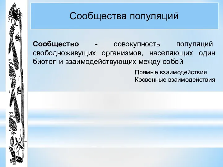 Сообщество - совокупность популяций свободноживущих организмов, населяющих один биотоп и взаимодействующих