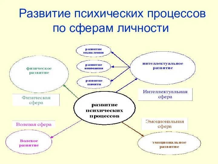 Развитие психических процессов по сферам личности