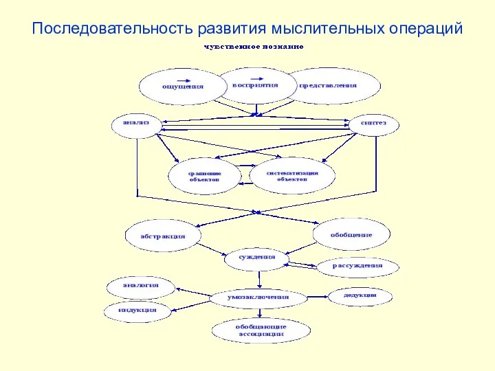 Последовательность развития мыслительных операций