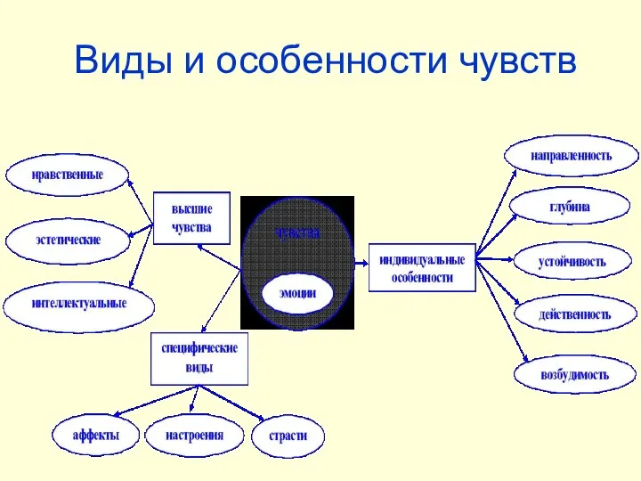 Виды и особенности чувств