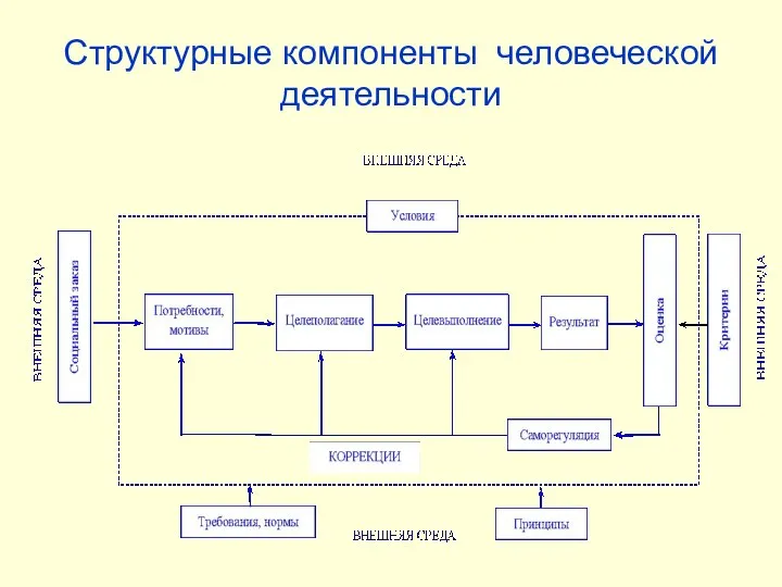 Структурные компоненты человеческой деятельности