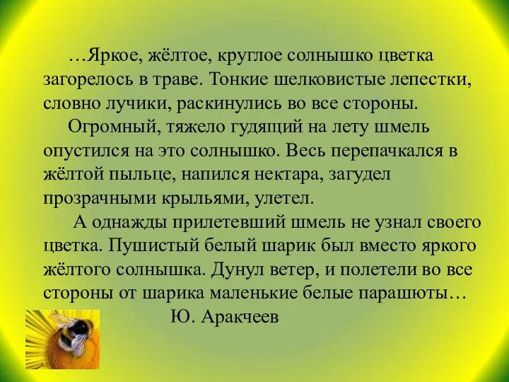 …Яркое, жёлтое, круглое солнышко цветка загорелось в траве. Тонкие шелковистые лепестки,