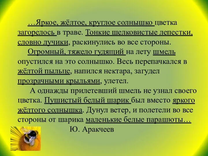 …Яркое, жёлтое, круглое солнышко цветка загорелось в траве. Тонкие шелковистые лепестки,