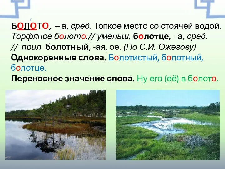 БОЛОТО, – а, сред. Топкое место со стоячей водой. Торфяное болото.//