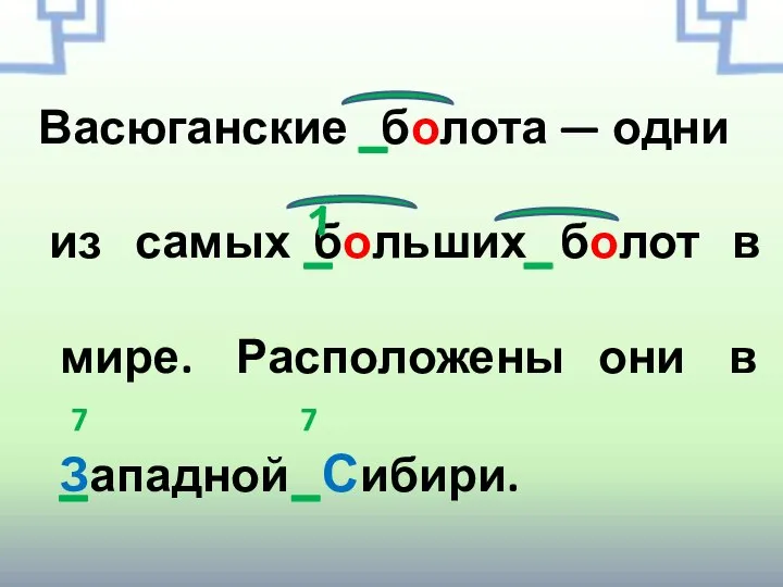 Васюганские болота — одни из самых больших болот в мире. Расположены