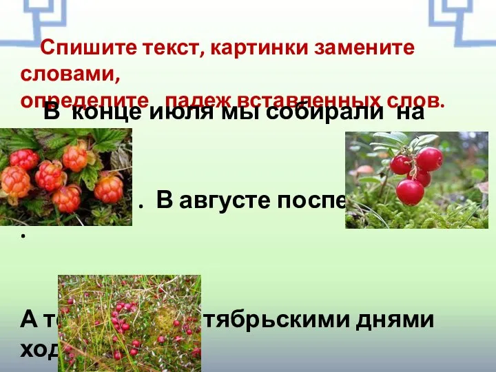 Спишите текст, картинки замените словами, определите падеж вставленных слов. В конце