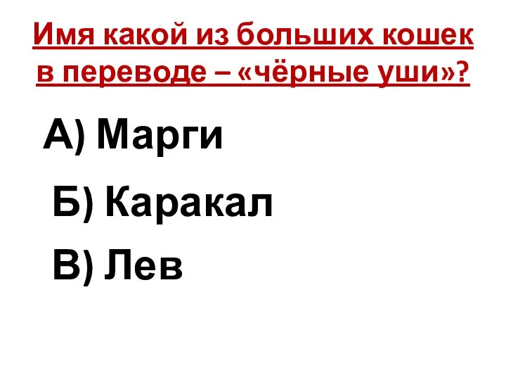 Имя какой из больших кошек в переводе – «чёрные уши»? А) Марги Б) Каракал В) Лев