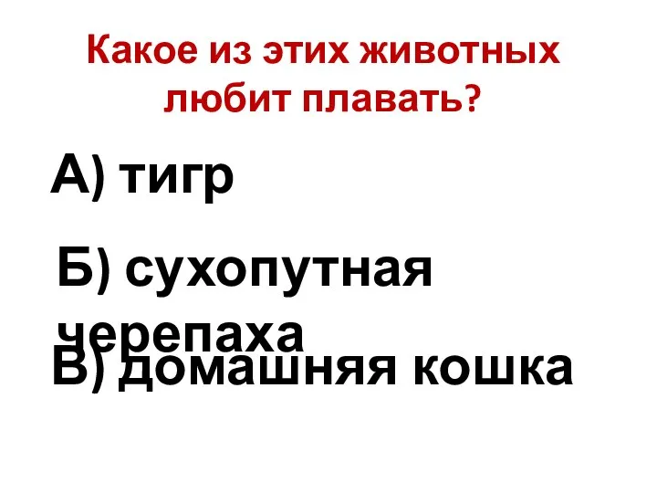 Какое из этих животных любит плавать? А) тигр Б) сухопутная черепаха В) домашняя кошка