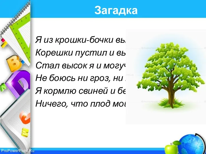 Загадка Я из крошки-бочки вылез, Корешки пустил и вырос, Стал высок