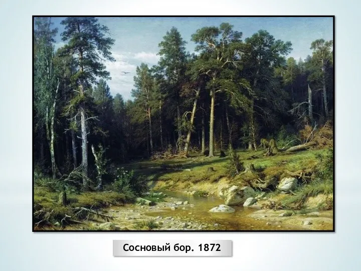 Сосновый бор. 1872