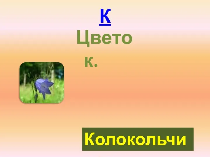 К Цветок. Колокольчик