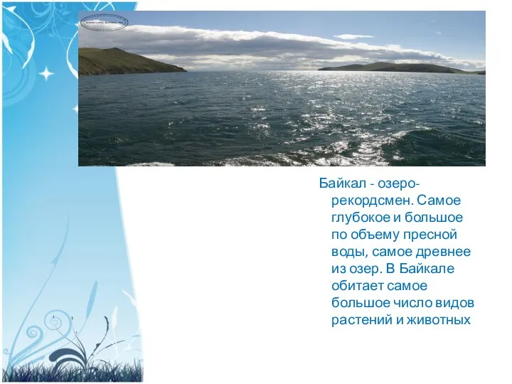 Байкал - озеро-рекордсмен. Самое глубокое и большое по объему пресной воды,