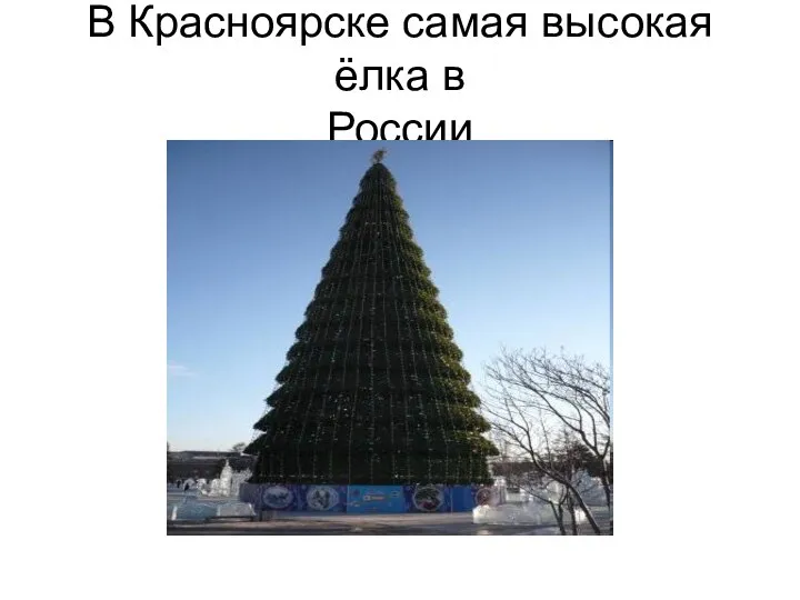 В Красноярске самая высокая ёлка в России