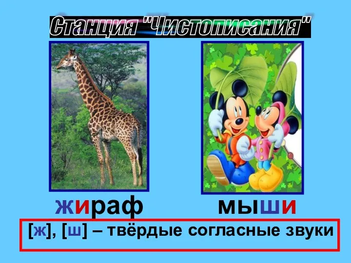 Станция "Чистописания" жираф мыши [ж], [ш] – твёрдые согласные звуки