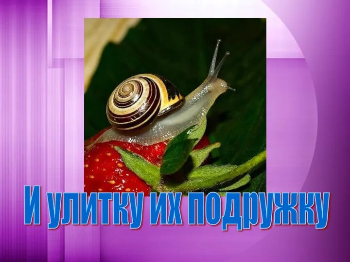 И улитку их подружку