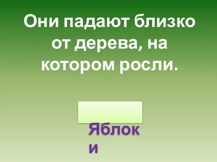 Они падают близко от дерева, на котором росли. Яблоки