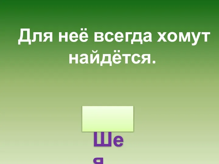 Для неё всегда хомут найдётся. Шея