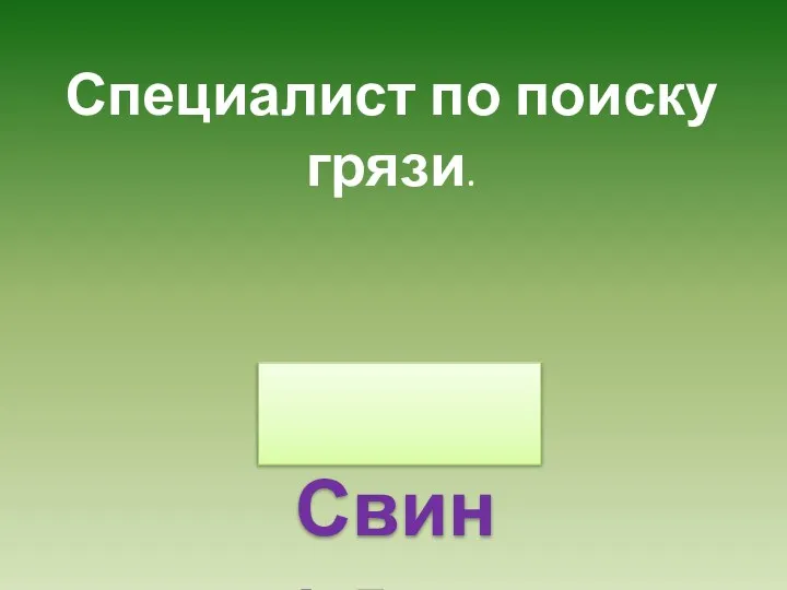 Специалист по поиску грязи. Свинья