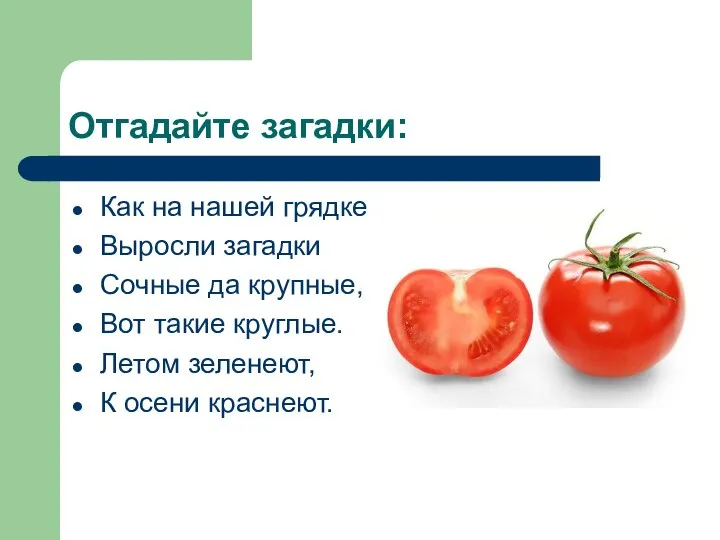 Отгадайте загадки: Как на нашей грядке Выросли загадки Сочные да крупные,