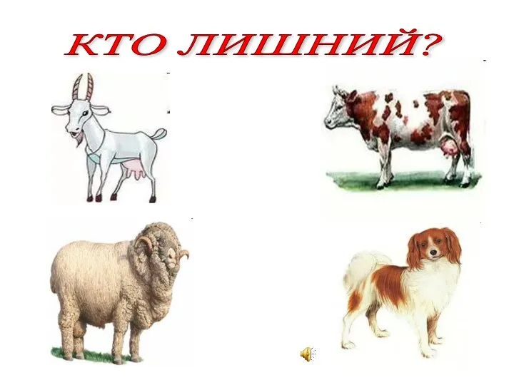 КТО ЛИШНИЙ?