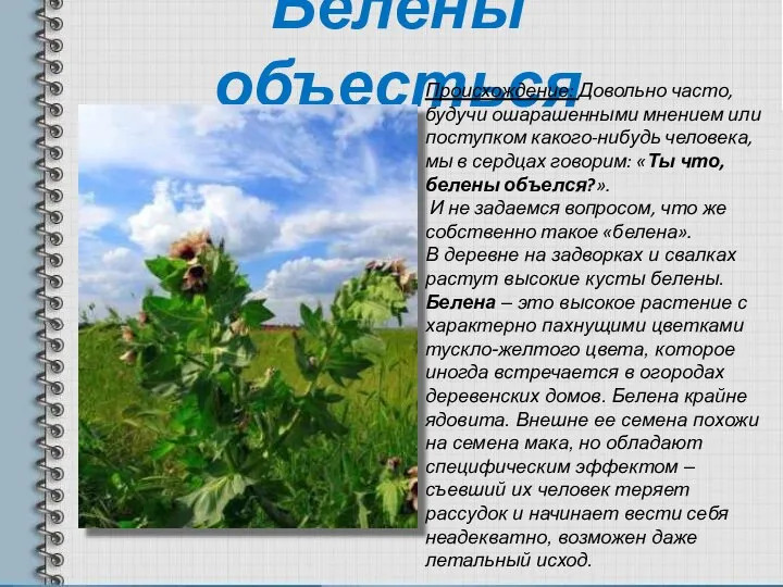 Белены объесться Происхождение: Довольно часто, будучи ошарашенными мнением или поступком какого-нибудь