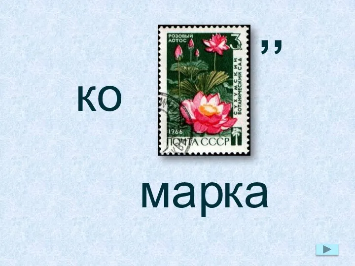 ко ,, мар ка